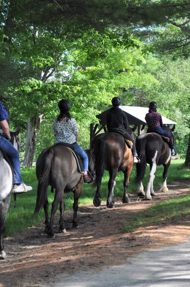 Horseback Riding